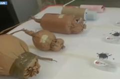 Catania, fuochi d'artificio per uno spettacolo abusivo: tre arresti