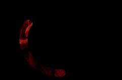 "Siamo serie": Goodbye June, Pomeriggi di Solitudine, Paradiso in fiamme