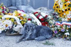 La tomba di Brigitte Bardot accessibile al pubblico, 'grazie B.B.'