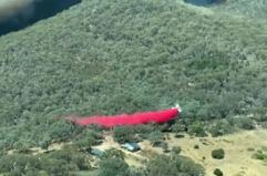 Incendi in Australia e Argentina, a fuoco migliaia di ettari di verde