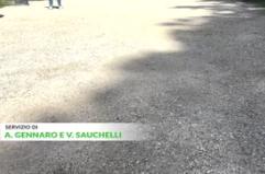 "Sull'Adhd mancano le linee guida, disturbo sottovalutato"