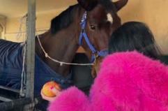 In ospedale da un mese per una caduta dalla sella, Barbara riabbraccia la cavalla Uranie: l'incontro fuori dall'ospedale