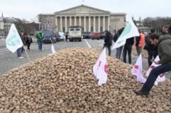 Mercosur, Parigi: paglia e patate davanti all'Assemblea nazionale