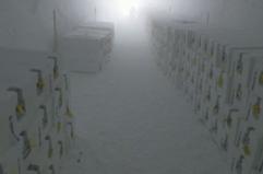 Antartide, ecco l'archivio dei ghiacci "Ice Memory"