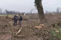 Incidente sul lavoro, operaio 39enne muore nel Torinese