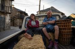 Box office, Buen Camino di Zalone oltre 70 milioni, Sorrentino al suo miglior debutto