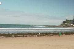 Allarme in Australia, spiagge chiuse dopo quattro attacchi di squali in 48 ore