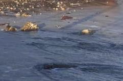 Il Poetto devastato dalle mareggiate, bar e stabilimenti invasi dall'acqua