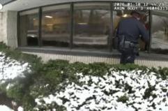 Usa, scatta l'allarme anti-intrusione: ma l'intruso in banca e' un cervo