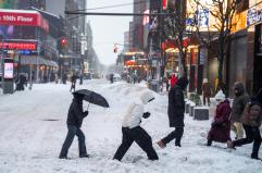 Tempesta artica in Usa, almeno 18 morti