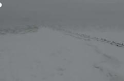 Usa, paesaggi imbiancati e lago ghiacciato: la magia del Webster Park dall'alto