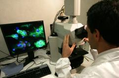 Dall'Ue 20,4 milioni per avvicinare le applicazioni della ricerca