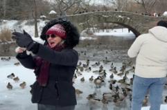 Non solo disagi, lo spettacolo di New York sotto la neve