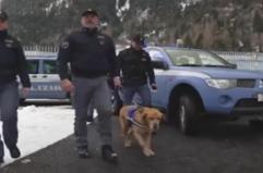 Milano Cortina, la Polizia in prima linea