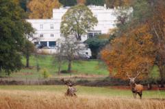 Bbc, 'l'ex principe Andrea ha lasciato la residenza di Windsor'