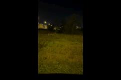 Lupo avvistato nella zona industriale di Melendugno: il video dell'ululato 