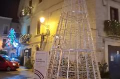 Bari, il Natale si accende con l’albero di piazza dell’Odegitria