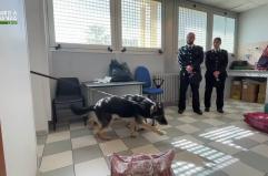 I pacchi con la spesa avevano il doppio fondo: sequestrati 1,3kg di hashish nel carcere di Lecce VIDEO