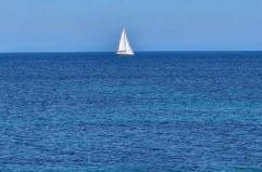 La foto del giorno del 3 novembre 2025