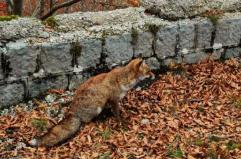 La foto del giorno del 4 novembre 2025