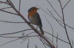 La foto del giorno del 9 novembre 2025