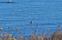 La foto del giorno del 16 novembre 2025