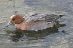 La foto del giorno del 18 novembre 2025