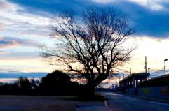 La foto del giorno del 19 novembre 2025