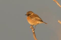 La foto del giorno del 22 novembre 2025