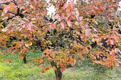 La foto del giorno del 23 ottobre 2025