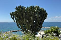 La foto del giorno del 30 novembre 2025