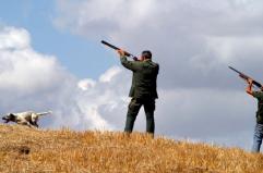 Legge di bilancio: esplode il caso caccia, c&rsquo;&egrave; il s&igrave; al &laquo;fine di lucro&raquo;