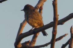 La foto del giorno del 30 dicembre 2025