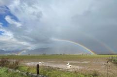 La foto del giorno del 31 dicembre 2025