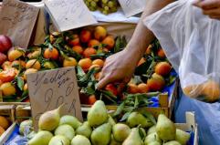 Istat, carrello della spesa alle stelle: +24% In Puglia inflazione da record nel 2025. Codacons Bari: &laquo;Rischio nuovi rincari&raquo;