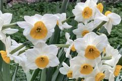 La foto del giorno del 17 gennaio 2026