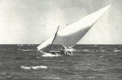 La foto del giorno del 22 gennaio 2026