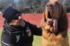 &laquo;Bruno non &egrave; stato ucciso&raquo;: il cane eroe di Taranto &egrave; morto per un colpo di calore, istruttore indagato per simulazione di reato