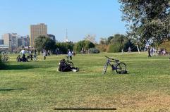 Bari, la Cassazione riapre la partita: &laquo;Il parco di Punta Perotti deve essere smantellato&raquo;