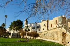 La foto del giorno del 3 febbraio 2025