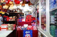 La foto del giorno dell'11 febbraio 2026