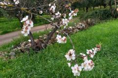 La foto del giorno del 14 febbraio 2026