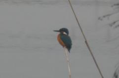 La foto del giorno del 17 febbraio 2026