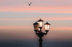 La foto del giorno del 20 febbraio 2026