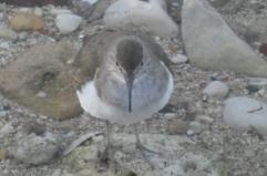 La foto del giorno del 22 febbraio 2026