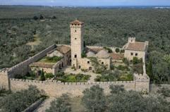 La foto del giorno del 24 febbraio 2026