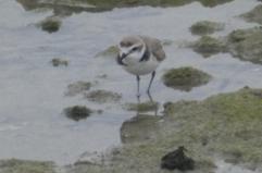 La foto del giorno del 3 marzo 2026