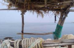 La foto del giorno del 5 marzo 2026