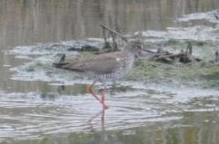 La foto del giorno 22 marzo 2026