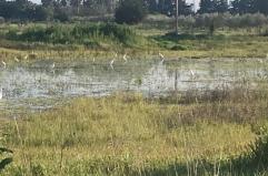 La foto del giorno del 31 marzo 2026